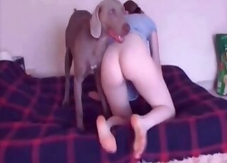 Homemade zoo porn with a nasty babe that gets nailed by a dog