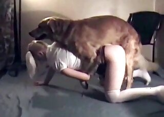 Fluffy dog performs a non-stop pussy-ramming of a hot blond chick