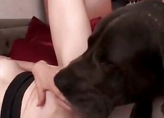 Pasty babe lets a dog eat her pussy in a zoophilic cunnilingus movie