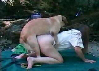 Round-assed lady showing her fuck skills in a hot porno with a dog