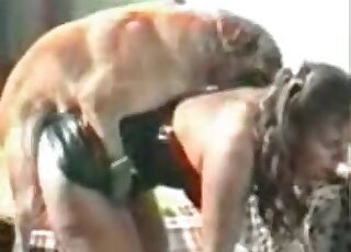 Brown animal is going to fuck a good-looking brunette in black