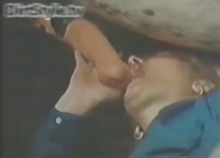 Redheaded lady dressed in blue blows a hung horse with passion