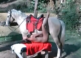 Oversized animal penis slides inside a zoophile's hole outdoors