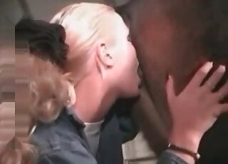 مهبل الحصان يتم لعقه من قبل شقراء ذات ذيل حصان ترتدي الجينز