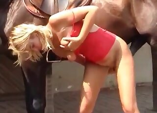 Super-seductive blonde wants horse penis to punish her tasty twat