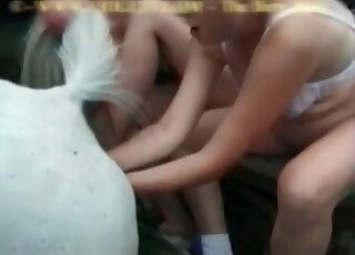 Horny couple arrange beastiality threesome sex blow stallion’s cock