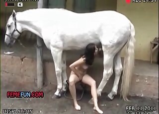 Skinny Latina likes doing oral exercises with her horse’s cock