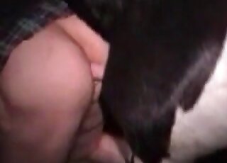 كلبة ناضجة تتعرض للطعن على يد فحل ضخم في مشهد حديقة حيوانات