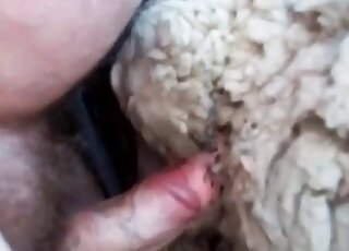 Guy fucks a sheep and gets orgasmic pleasure in a zoo scene