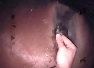 Dirty pervert finger fucks deep hole of a horse in a XXX zoo sex vid