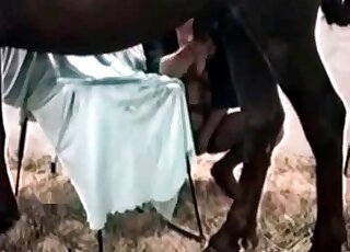 Bitch spreads her legs widely in order to welcome dog's pecker inside