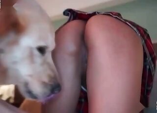 الكلبة تمتص قضيب كلبها الوردي وتعطي الوحش مهبلها