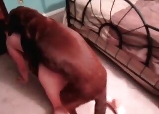 Cock-starved slut enjoys every inch of her dog’s hard pecker