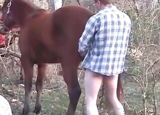 Horse never expected the stableman would fuck it like insane