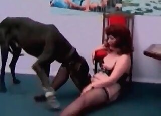 كلب أسود ضخم يستكشف ويلعق مهبل امرأة ناضجة ساخنة