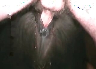 Pony gets fucked in his ass by a nasty zoophile guy in a zoo porn scene