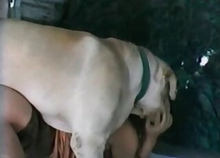 عاهرة حديقة الحيوانات تعطي مهبلها العصير لكلب وتحصل على حفر على طريقة الكلب