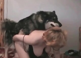 عاهرة ناضجة فاتنة تنتظر حتى يمارس كلبها الأليف الجنس مع فرجها المحتاج