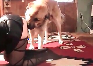 Fat-assed mature vixen gets properly pounded by her trained dog