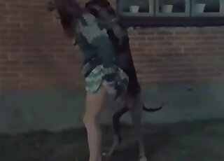 كلب قوي يمارس الجنس مع زوجة ساخنة في الهواء الطلق دون أن يتعب