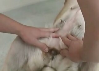 Zoo sex addicted fellow enjoys fucking with his pet dog at home
