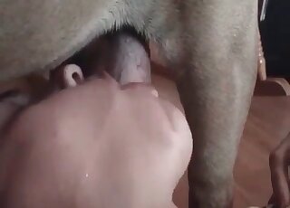 امرأة ناضجة شرسة تستمتع بالاختراق العميق لقضيب كلبها في مهبلها