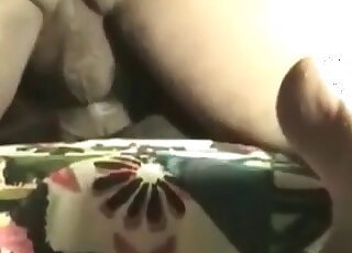 Guy bounces on his dog in a mind-blowing animal porn footage