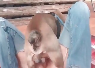 Mature blows her dog’s dong and gives the animal her needy cunt