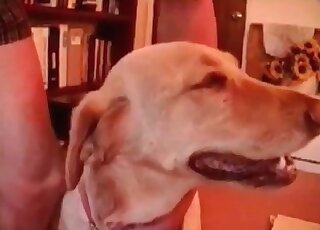 رجل مشعر يحشو مهبل كلبته بعمق بقضيبه النابض