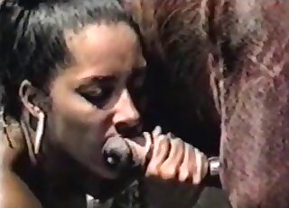 Latina bitch goes hardcore with a stallion and sucks its huge cock