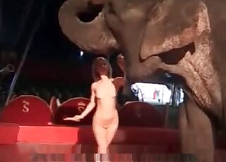 Naked chick is trying to seduce an elephant for some kinky action