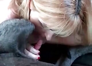 Two whores get ready to suck black dog's hard pecker with joy