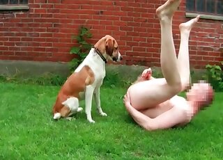 Naked guy invites his nice dog to lick his body and blow his dong