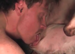 Animals loving zoophile dude gives a pussy lick to his female dog