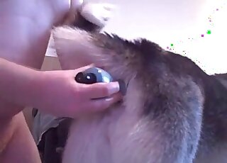 رجل سمين يمارس الجنس مع كلبه باستخدام لعبة ديلدو ويستمتع بالعملية