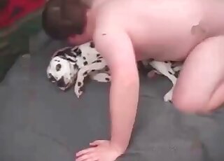 痴迷動物性交的傢伙和他的雌性達爾馬提亞犬發生了性關係