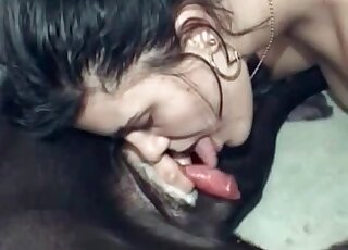 Brunette passionately licking her dog's red pecker during blowjob
