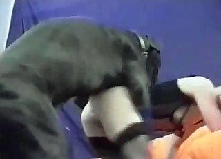 Black dog gladly takes slender blonde from behind and fucks her pussy