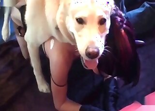 Mature in sexy lingerie likes to get licked and pounded by her dog