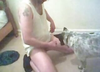 Dude's hard cock sucked by a dog in a sex tape with zoo undertones