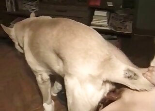 Skinny zoophilic lady gets fucked in a closeup porn movie with dogs