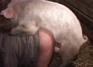 Zoophilic lady in dirty clothes fucked on all fours by a sexy pig