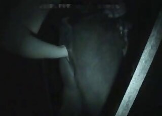 فيلم إباحي عنيف مع رجل يقبض على فرس يريد ممارسة الجنس العنيف